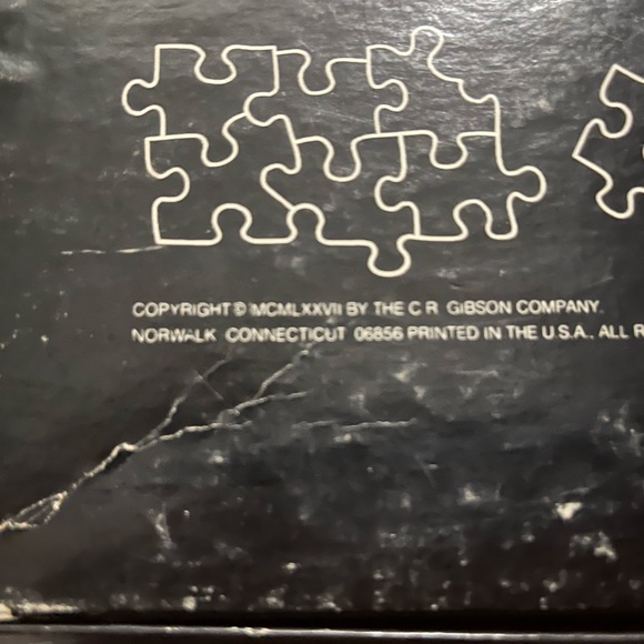 Another View Family Reunion 1000 piece vintage puzzle 🧩. - Picture 3 of 5